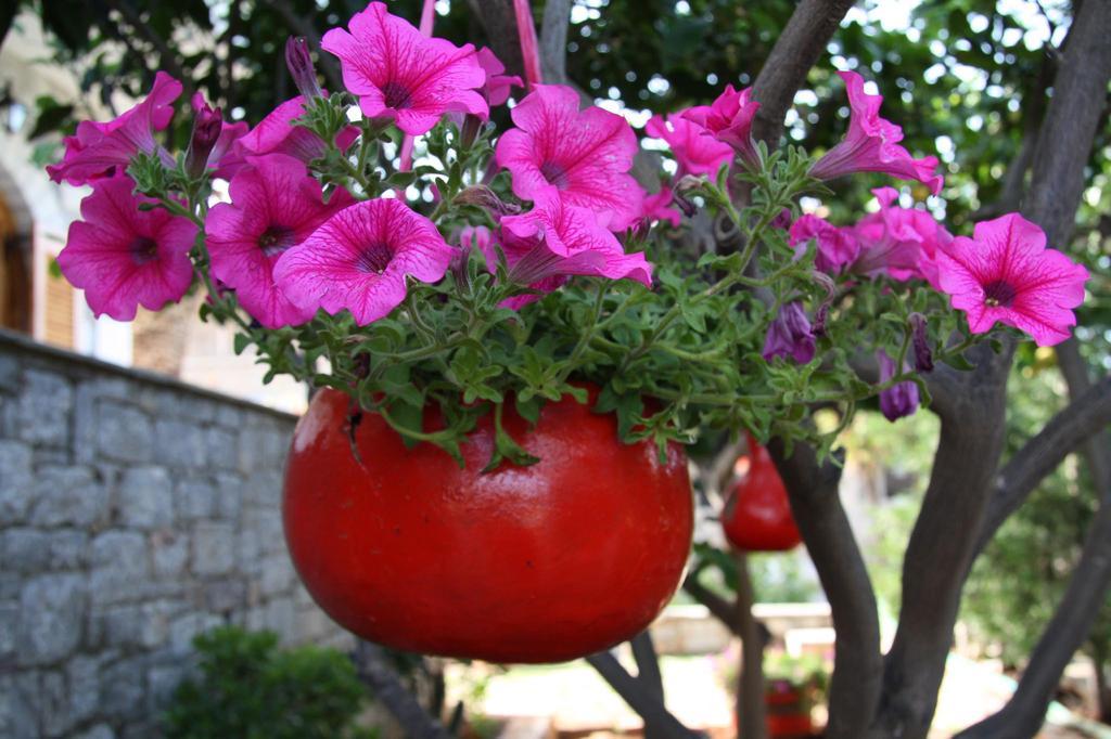 Anna Maria Studios Agios Nikolaos  Bagian luar foto